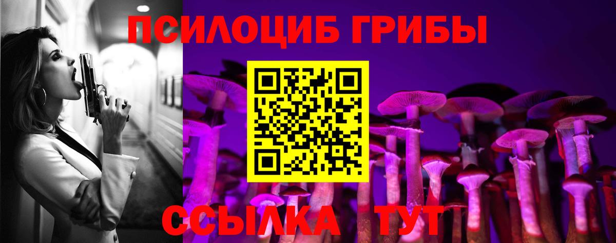 Галлюциногенные грибы Psilocybe Бахчисарай